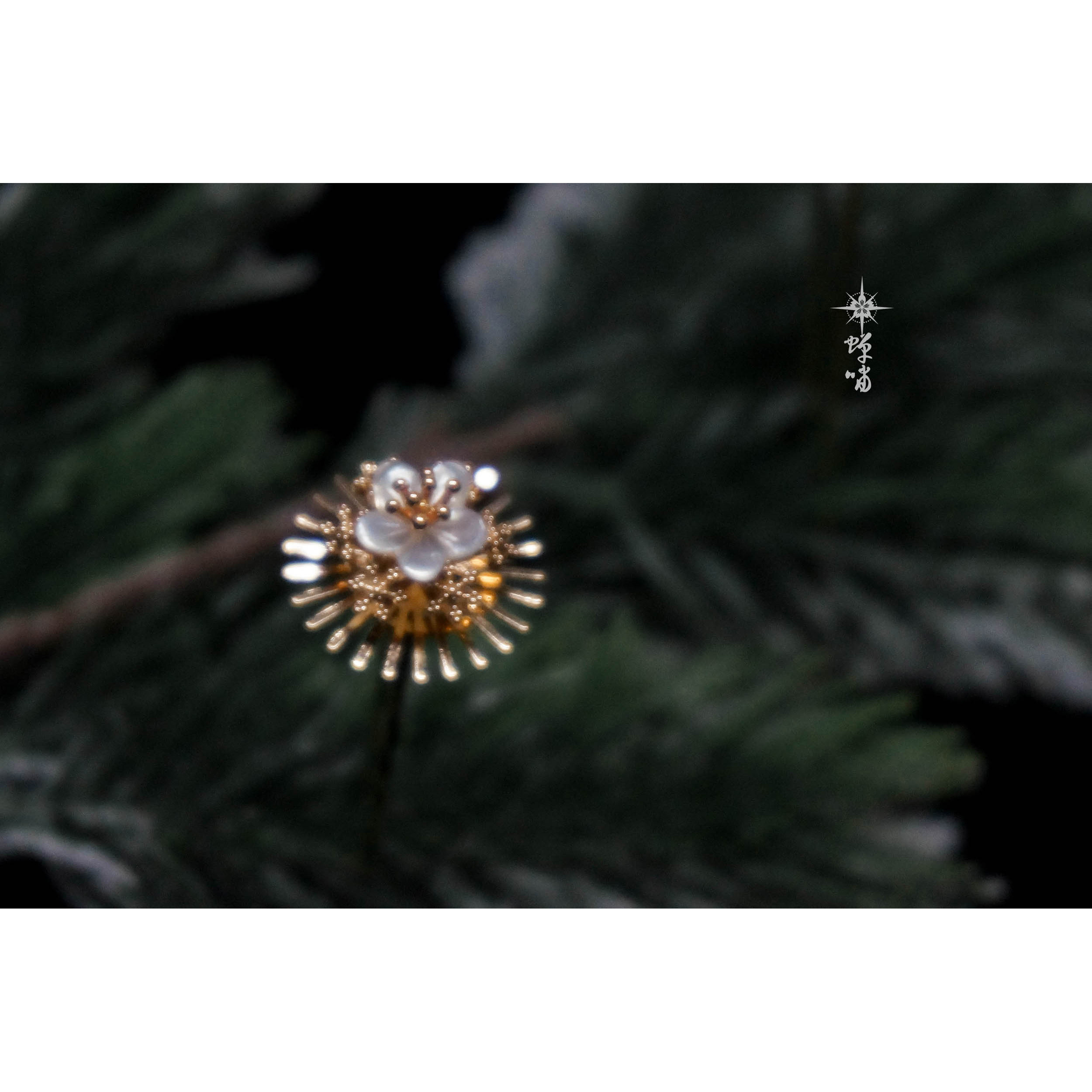 百松树 新人首单立减十元 21年7月 淘宝海外