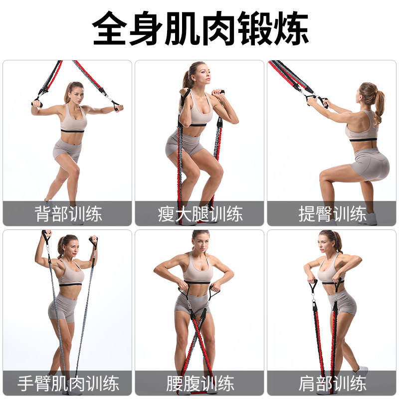  赫朗运动拉力绳/拉力器