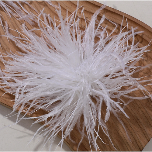 摩登舞发饰舞蹈演出头饰鸵鸟毛头花发夹F068 - 图1