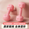 Dumbbell ladies fitness home equipment