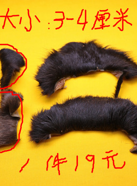 居家民俗祈福摆件真品正宗黑驴皮驴毛3至4厘米一件19元包邮无染色