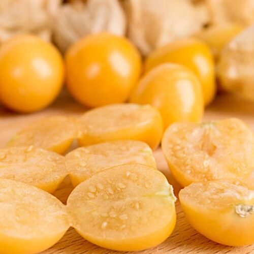 粒粒甜黄姑娘果种子浆果黄菇娘种籽甜度高农家菜园春季种植甜水果 - 图0