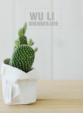 ins牛皮纸袋植物盆家居拍照道具