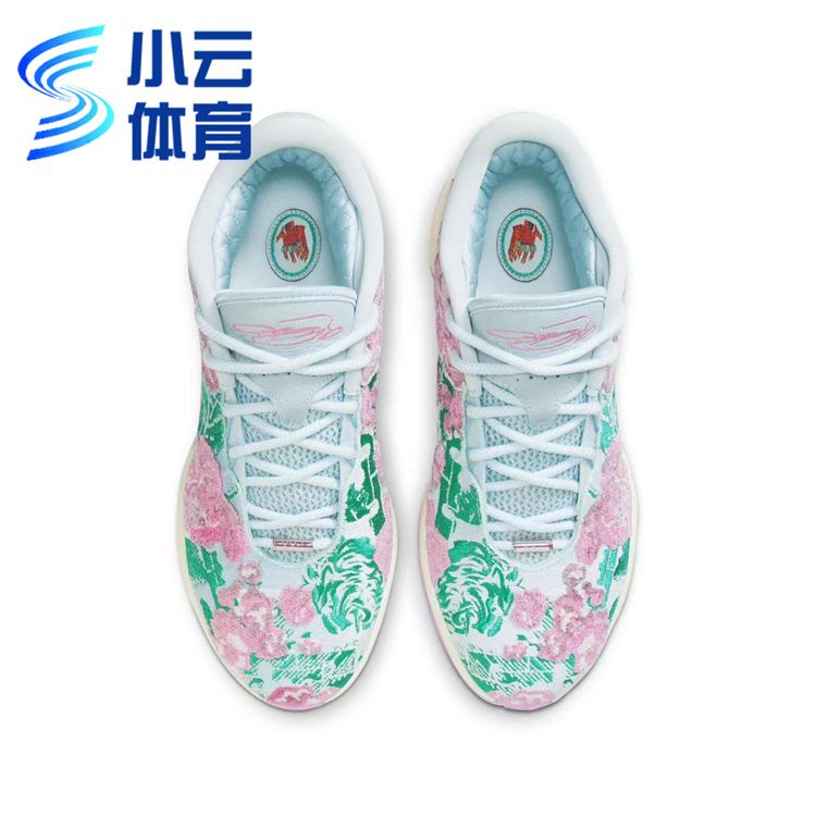 耐克Nike Lebron 詹姆斯21代男子低帮实战篮球鞋FV7276-401 - 图1
