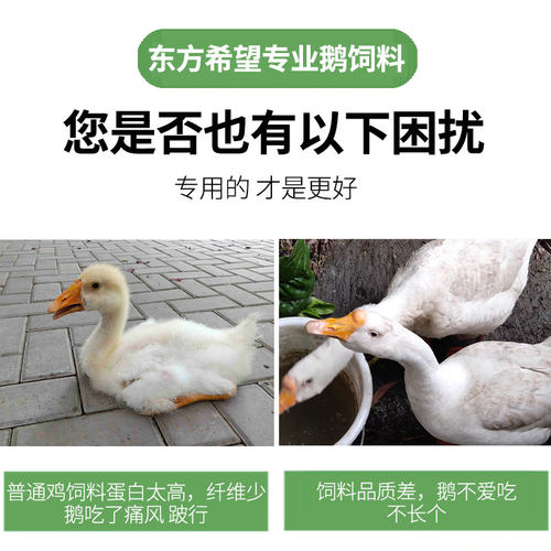 鹅饲料专用小鹅雏鹅幼鹅狮头鹅中大鹅颗粒鹅苗养殖希望蛋宝宇宙 - 图0