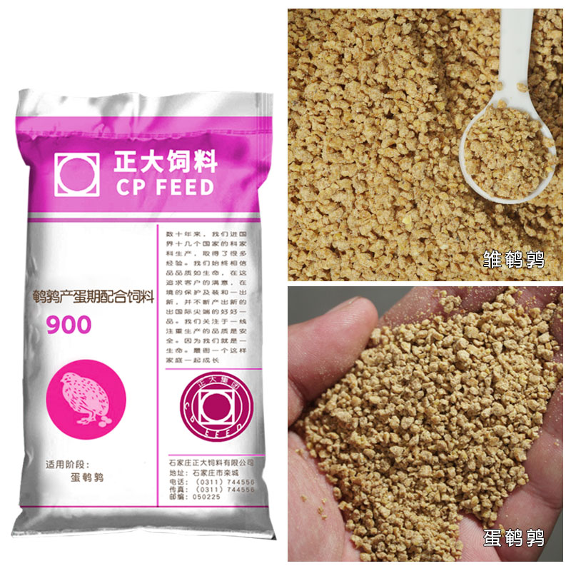 正大900s鹌鹑产蛋专用饲料芦丁鸡小鸡开口通用型下蛋蓝胸食料散装 - 图2