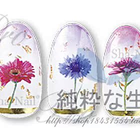 现货 18/9月秋季款 日本【Sha-Nail】More系列『The Flower』贴纸