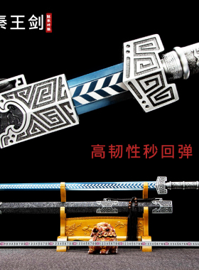 秦王剑汉剑龙泉将器宝剑长剑硬剑一体金属抖音同款镇宅刀剑未开刃