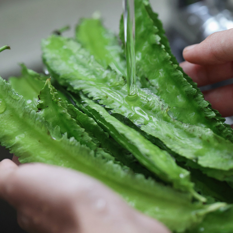 悟空家海南四角豆新鲜绿色蔬菜龙角豆皇帝豆鲜嫩四棱豆爽口炒菜,淘宝优惠券,粉丝福利购,淘宝优惠卷