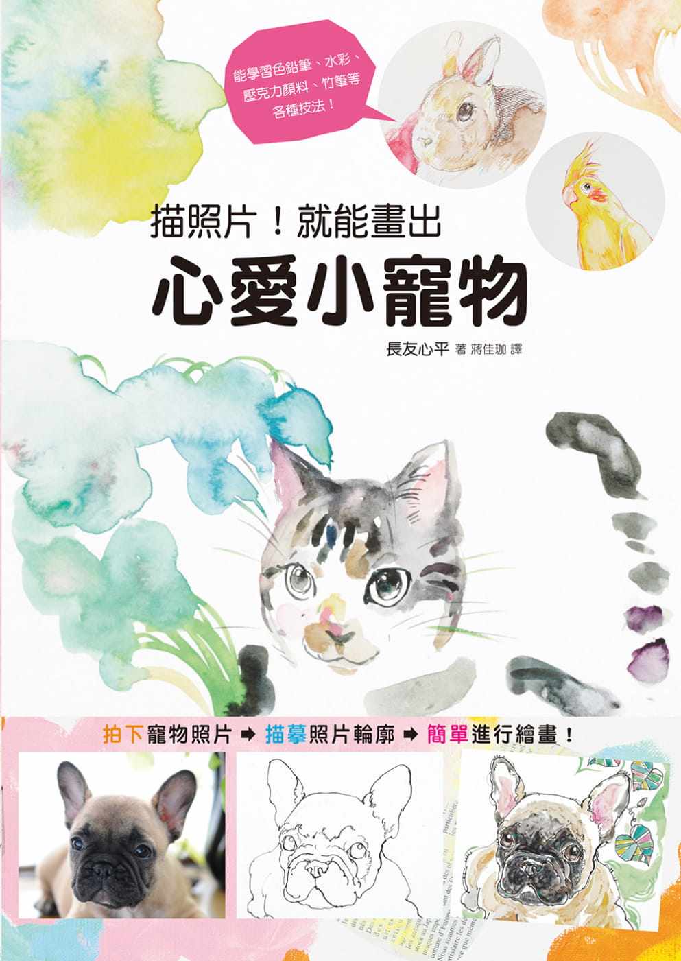 宠物描 新人首单立减十元 22年8月 淘宝海外