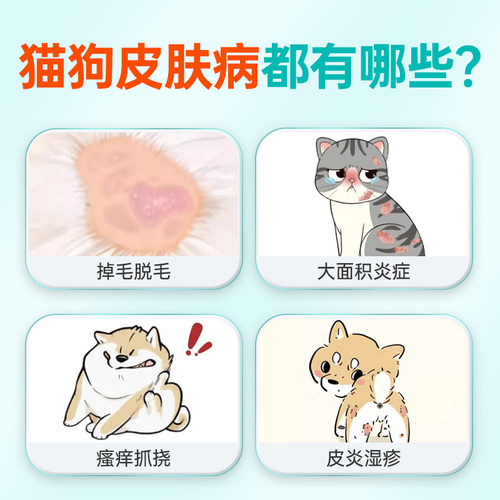 宠医到猫藓外用药狗狗真菌皮肤病喷剂猫癣专用宠物复方酮康唑软膏 - 图0