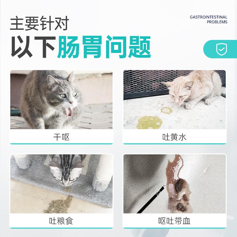 宠医到西咪替丁片猫狗专用药宠物猫咪止吐药呕吐护肠胃吐黄水兽用