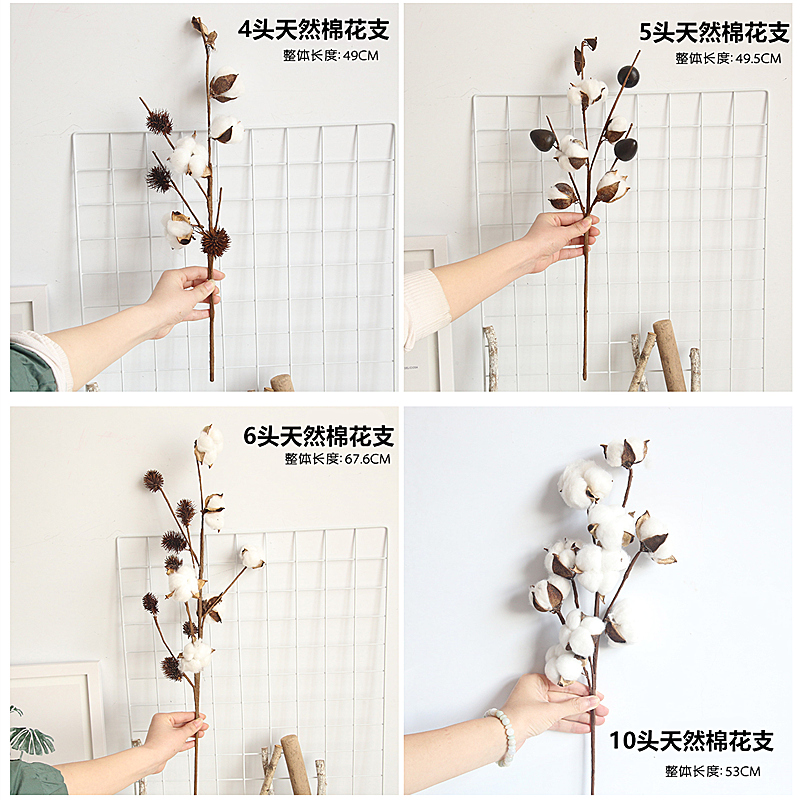 棉花干花花束永生花拍摄道具网红摆件公寓装饰木棉花假花仿真棉花高清大图