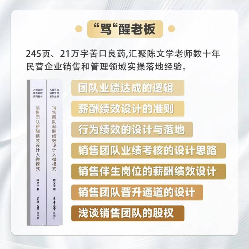 销售团队薪酬绩效设计入微模式陈文学薪酬绩效设计薪酬管理资料视频课程-图1