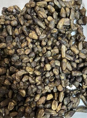 【老树钉】奇楠沉香软丝十年老料