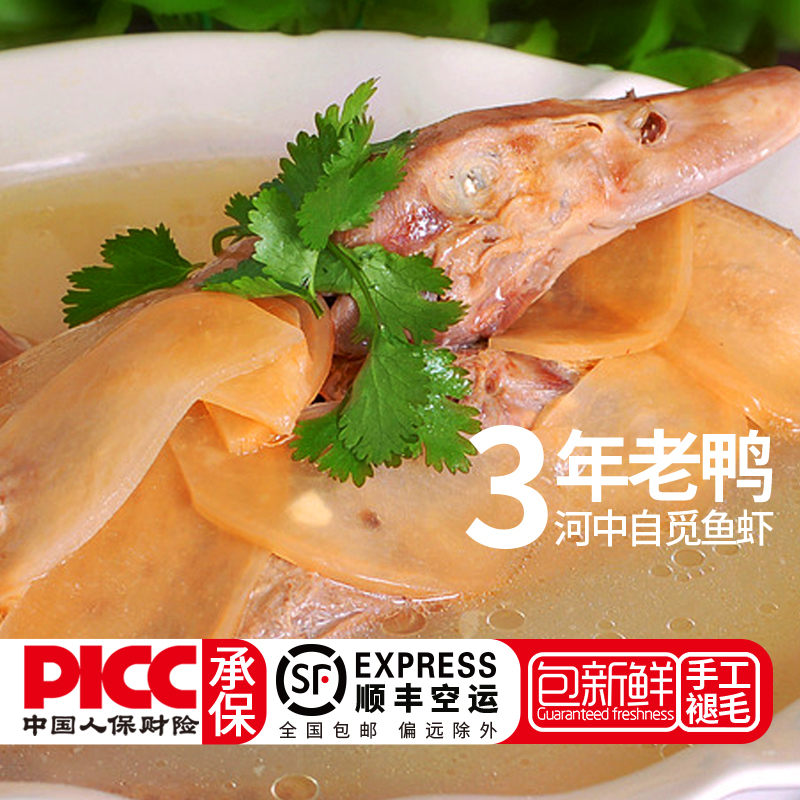 恒蜂源旗舰店恒沃散养老鸭子浙江土鸭3年老鸭大麻鸭肉整只新鲜活体现杀生鲜2