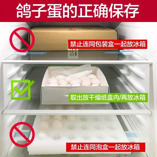 现货宝宝鸽蛋恒沃鸽子蛋儿童健康新年货礼盒包邮新鲜信鸽孕妇礼品 - 图2