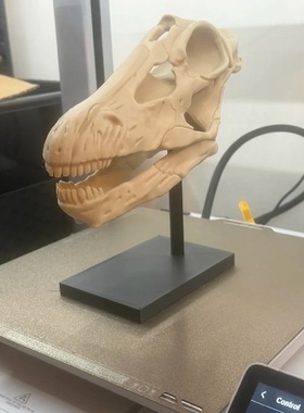 迷惑龙 /雷龙头骨恐龙3d打印桌面家居饰品鱼缸造景摆件送朋友礼物