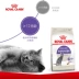 Boqi Net Royal Cat Food Chăm sóc tiệt trùng Thức ăn cho mèo SA37 / 0,4kg * 3 Thức ăn cho mèo ngắn của Anh 25 Tỉnh - Cat Staples