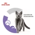 Boqi Net Royal Cat Food Chăm sóc tiệt trùng Thức ăn cho mèo SA37 / 0,4kg * 3 Thức ăn cho mèo ngắn của Anh 25 Tỉnh - Cat Staples