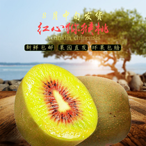 Jiangshan Alpine Red Heart Kiwi Fruit 5 Catty Fresh Fruit Sweet Now Off The Season Fruit Mass Mud Chic Exotic Fruits.