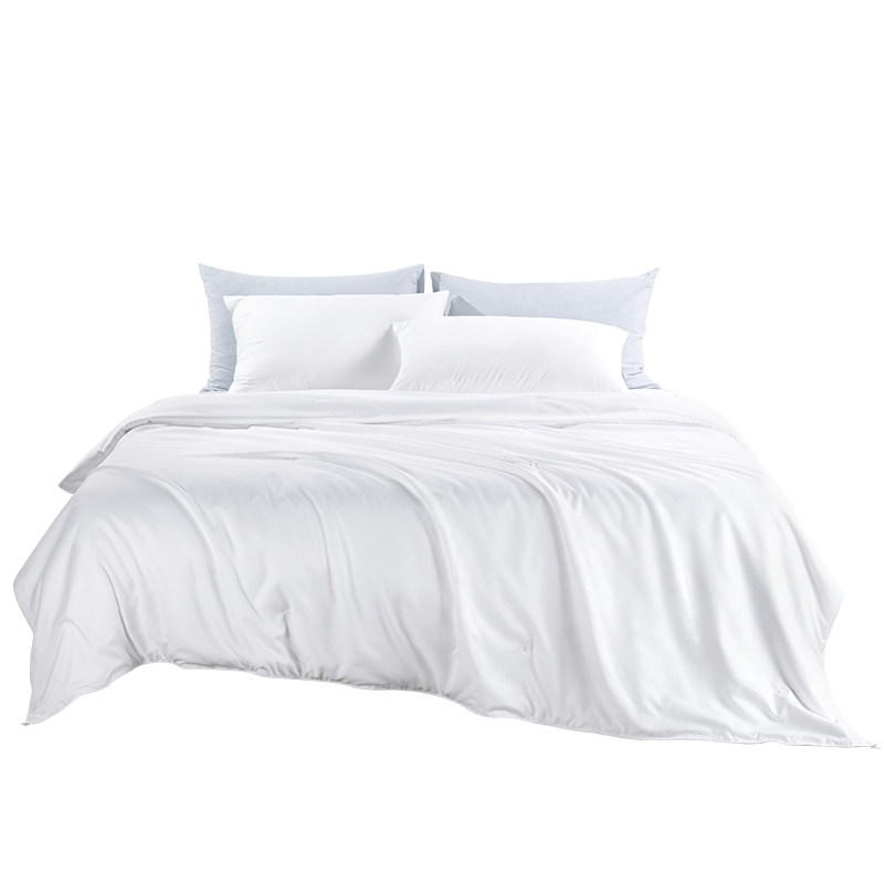 远梦家用四季被芯单双人100%蚕丝被 远梦家居蚕丝被