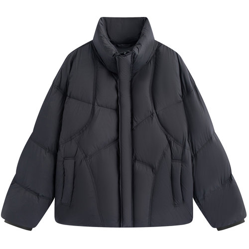 流石男装立领运动风加厚羽绒服2025年冬季男款简约蓬松白鸭绒外套 - 图3