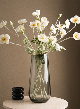 贝汉美玻璃水培鲜花花瓶