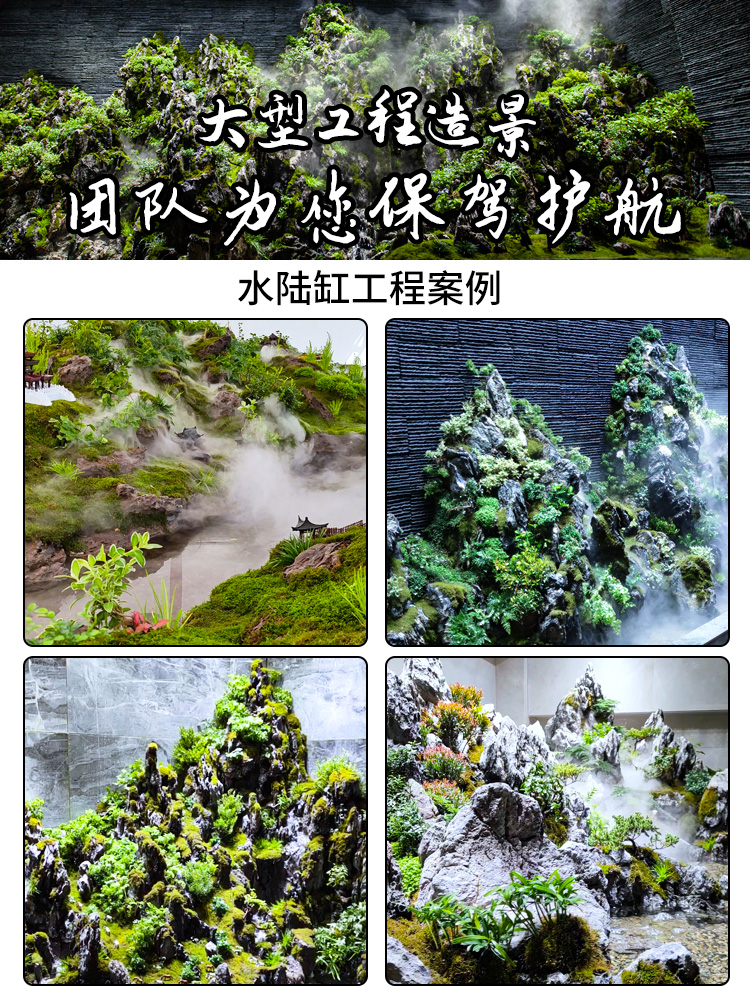 水陆雨林造景材料植物两栖水路生态缸鱼缸微景观套餐全套定制成品 - 图0