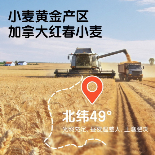 亨氏亨小灶宝宝面条婴儿营养直面辅食面条 - 图2