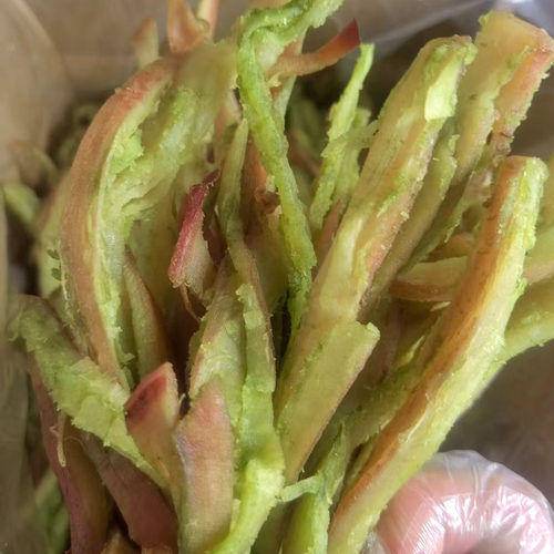苏苏的唐鱿鱼条即食手撕风琴片鱿鱼条干鱿鱼丝大包装散装海味零食 - 图2