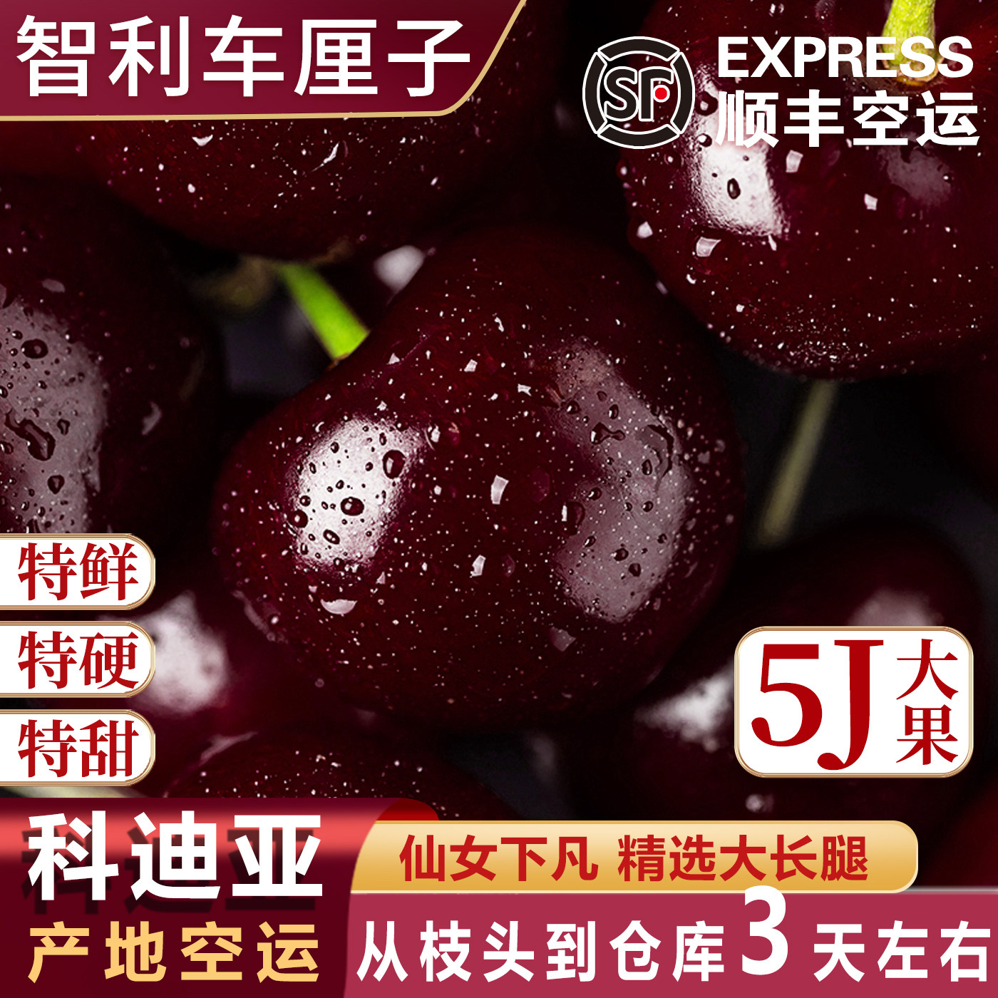 5j智利车厘子进口科迪亚新鲜水果大黑樱桃瑞礼盒吉娜原箱4j空运6j,淘宝优惠券,粉丝福利购,淘宝优惠卷