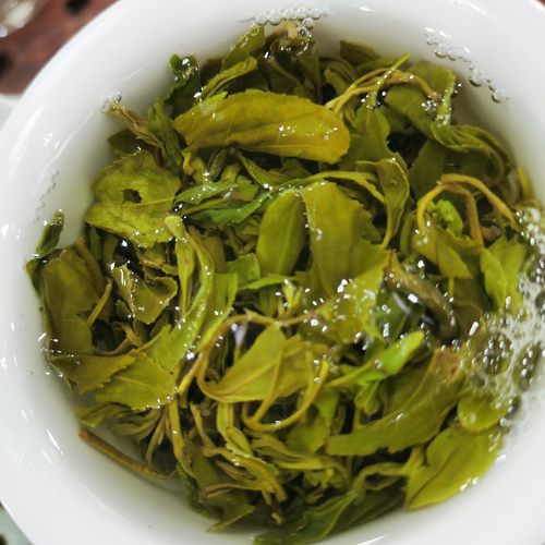 2025年【亓露凤茗】WP-26款新日照绿茶春茶，口感醇厚耐冲泡 - 图0