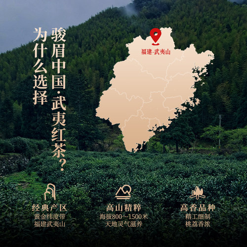 正山堂传统特级正山小种武夷红茶云南滇红茶正宗特级红茶叶组合 - 图1