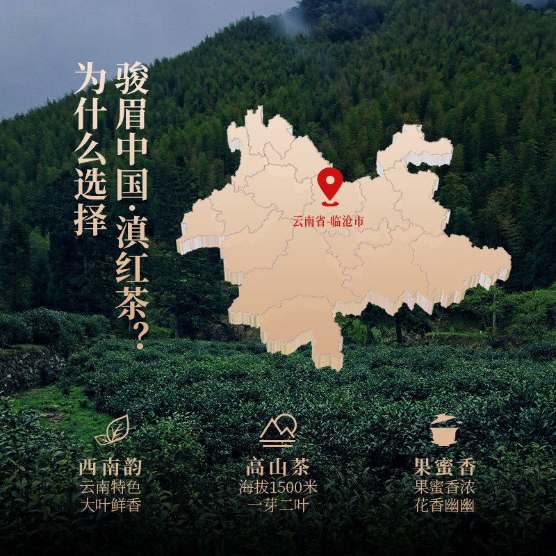 正山堂传统特级正山小种武夷红茶云南滇红茶正宗特级红茶叶组合 - 图2