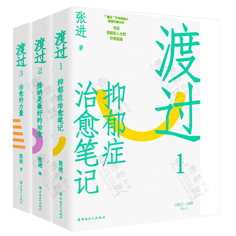 渡过三部曲 张进 渡过123抑郁症治愈笔记+接纳是最好的治愈+治愈的力量 抑郁自我治愈心里创伤疗愈 抑郁症疗愈指南 抑郁症治疗书籍 - 图1