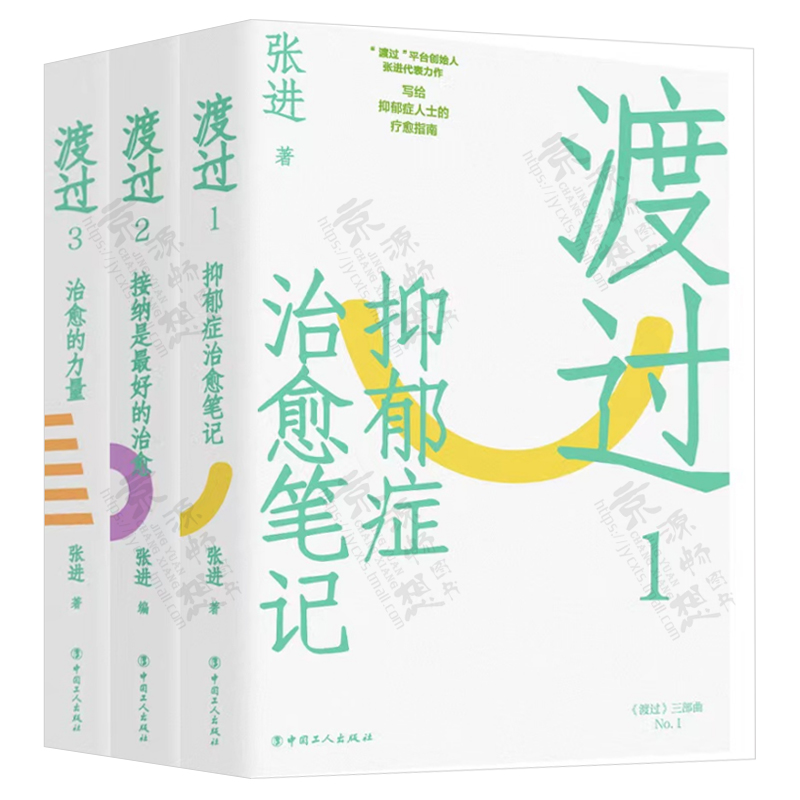 渡过三部曲 张进 渡过123抑郁症治愈笔记+接纳是最好的治愈+治愈的力量 抑郁自我治愈心里创伤疗愈 抑郁症疗愈指南 抑郁症治疗书籍 - 图0