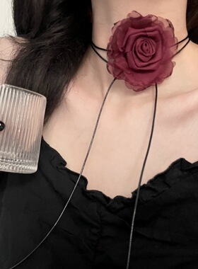 暗黑风手作干枯玫瑰灼烧花朵项链法式lolita系带长款choker手腕花