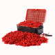 Red worm live bait extra large male worm live fresh