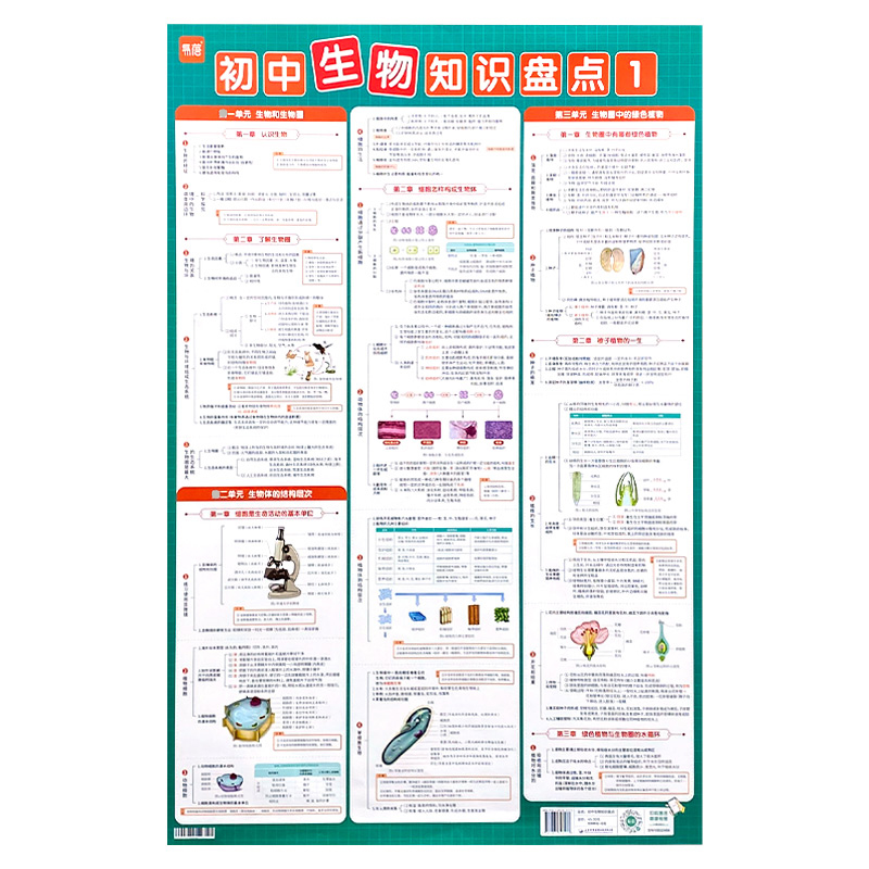 初中生物地理重点知识点大全总结归纳复习资料知识清单表挂图墙贴 - 图3