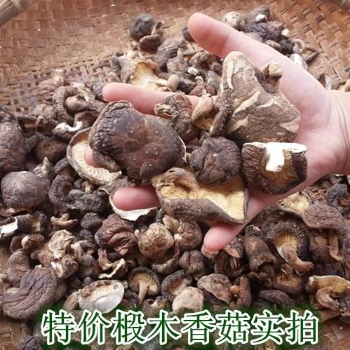 特价椴木香菇冬菇大小菇丁碎块薄片酒店餐厅家用实惠包饺子馅500g,淘宝优惠券,粉丝福利购,淘宝优惠卷