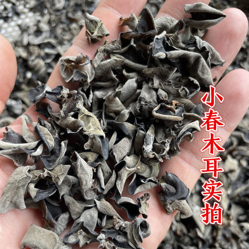 鼠耳 小碗耳小木耳秦岭椴木野生黑木耳250g/500g春木耳冬木耳可选 - 图0
