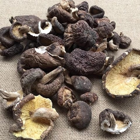 特价椴木香菇冬菇大小菇丁碎块薄片酒店餐厅家用实惠包饺子馅500g,淘宝优惠券,粉丝福利购,淘宝优惠卷