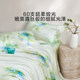 Luolai Home Textiles Simple Tencel Cool Four-piece Set