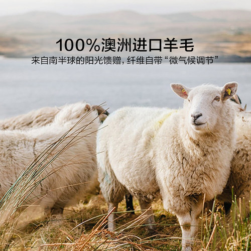 罗莱家纺澳洲进口100%纯羊毛被防螨抗菌单人春秋被芯被子冬被加厚 - 图0
