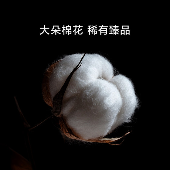 Luolai pure cotton high-end 100-count four-piece set