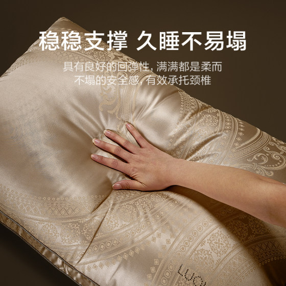 Luolai Home Textile Pillow Core Dormitory Bedroom Polish Imported Class A 95 White Goose Down Fiber Pillow Adult Single Pack