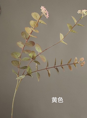 仿真单枝尤加利金钱叶带果 跨境货源家居样板间婚庆花束装饰批发