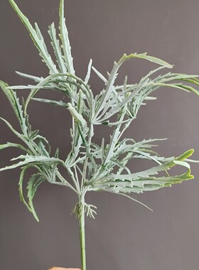 仿真植物叶材把束竹节叶竹节草竹蒿草 境外货源婚庆圣诞插花配材