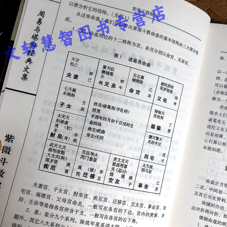 正版全2册紫薇紫微斗数全书倪海厦命盘分析解析入门讲义全集解密看盘飞星课程陈抟一本通预测命理学白话释意教程书籍王道亨李非著